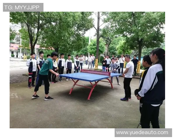 南京乒乓球队在阵地战中的表现分析与未来发展展望